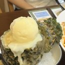 배딱관평점 이미지