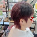 엘레강스미용실 - 진주시 동부로587번길 7 | 엘레강스미용실