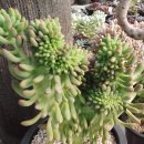 지혜의샘터 이미지