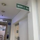 테라피 드 포레