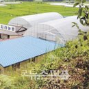 백옥농장 이미지