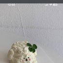 케이꿍