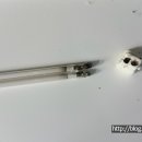 (주)이시스 이미지