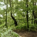 광안 더힐 요양병원 이미지