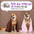 아미고 생활건강