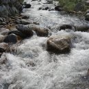 미리내 하우스 펜션 이미지