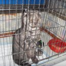 완산초등학교 이미지