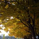 춘식이네 이미지