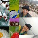 강촌스카이 이미지