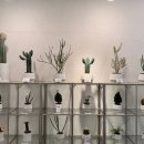 오백샵 이미지