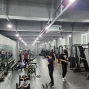 하드캐리짐 이미지