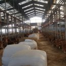 매형목장 이미지