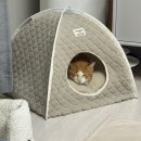 2006년 5월중순에 치즈 아기냥 입양 보내주신 장선화님 계실까요? 이미지