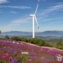 보랏빛 힐링 명소, 꽃과 별이 쏟아지는 거창 감악산 이미지