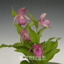유일통상 이미지