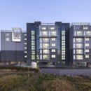 대정읍-7 이미지