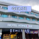 [거제] 2년만에 재방문 솔직후기 (홈포레스트 호텔) | 스탠다드 더블 | 장승포