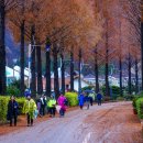 남해바래길 이미지