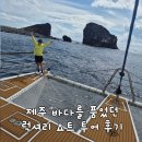나날 스테이 | 제주 요트 투어 가격 운행시간 총정리 / 사계항 씨스테이
