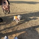 더벤티방이