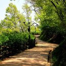 솔마루공원(2) 이미지