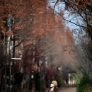 원천공원 이미지