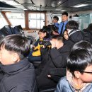 완도19호 이미지