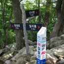 윗대티 등산로 이미지