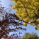 황새울로18번길 이미지