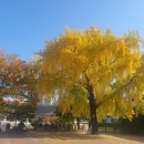 대청마루한의원 이미지