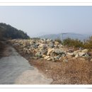 바닷가농원 이미지