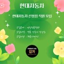 신봉점 현대자동차 이미지