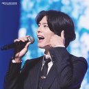 Blossom for you 이미지