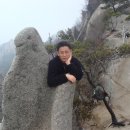 재니아
