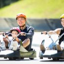 통영루지 이미지