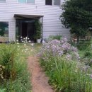 분진중학교 이미지