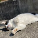 친구네 | 전남피크닉 광주근교여행 장성가볼만한곳 친구네 가족과 피크닉 후기