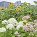 석정농장 이미지