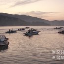 진도수산 이미지