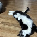 하이오커피 군산디오션시티점 이미지