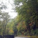 피아골단풍민박 이미지