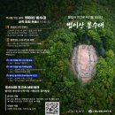 대구 법이산 봉수대 이미지