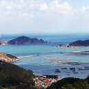 흑산도 Daum카페