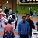 위즈덤 태권도장 네이버블로그