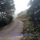 원촌주유소 네이버블로그