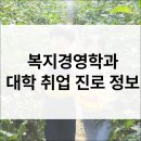 대전대학교 경영행정 사회복지 상담대학 | 복지경영학과 입시·전공·진로·취업·직업·자격증 정보 총정리
