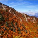금강산 - 포천시 | 금강산