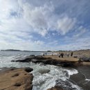 키코1983 이미지