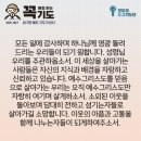 콩깍지
