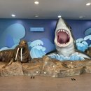 루루태권도장 이미지